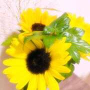 ひまり 卍決意卍 クラブ貴公子