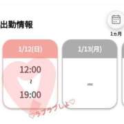 ヒメ日記 2025/01/10 23:02 投稿 しおり 白いぽっちゃりさん