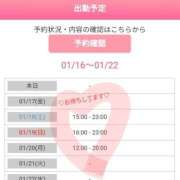 ヒメ日記 2025/01/16 01:07 投稿 しおり 白いぽっちゃりさん