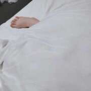 ヒメ日記 2025/02/08 08:12 投稿 しおり 白いぽっちゃりさん