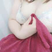 ヒメ日記 2025/03/28 14:12 投稿 しおり 白いぽっちゃりさん