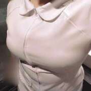 ヒメ日記 2025/06/07 19:22 投稿 しおり 白いぽっちゃりさん