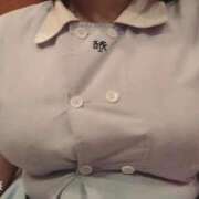 ヒメ日記 2025/09/16 18:42 投稿 しおり 白いぽっちゃりさん