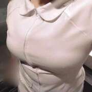 ヒメ日記 2025/10/16 13:22 投稿 しおり 白いぽっちゃりさん