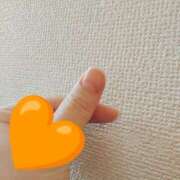 ヒメ日記 2025/11/20 16:32 投稿 しおり 白いぽっちゃりさん