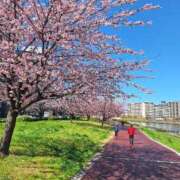 ヒメ日記 2025/03/17 17:21 投稿 あくあ 全裸の女神orいたずら痴漢電車