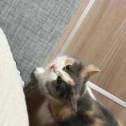 ヒメ日記 2025/09/14 11:05 投稿 なつき《Premiumコース》 if(イフ) 中村店