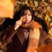 ヒメ日記 2025/11/26 10:45 投稿 なつき《Premiumコース》 if(イフ) 中村店