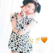 ヒメ日記 2025/01/16 18:16 投稿 なぎ チューリップ福井本館