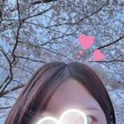 ヒメ日記 2025/04/14 20:44 投稿 なぎ チューリップ福井本館