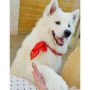 ヒメ日記 2025/08/17 00:44 投稿 なぎ チューリップ福井本館