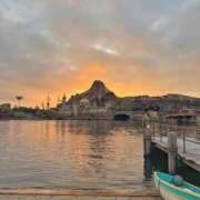 なぎ 恒例の🥸 チューリップ福井本館