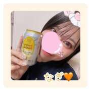 ヒメ日記 2025/02/04 01:44 投稿 なぎ チューリップ福井別館