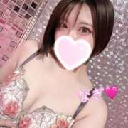 ヒメ日記 2025/10/11 00:38 投稿 なぎ チューリップ福井別館