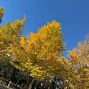 なぎ 💡急きょ❣️ チューリップ福井別館