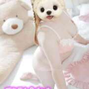 ヒメ日記 2025/10/09 13:42 投稿 じゅり 白いぽっちゃりさん