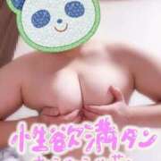 ヒメ日記 2025/10/11 13:42 投稿 じゅり 白いぽっちゃりさん