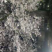 ヒメ日記 2025/04/04 01:38 投稿 ましろ ∞ (はっち)