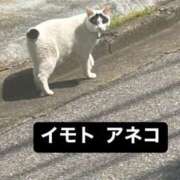 ヒメ日記 2025/05/15 16:01 投稿 橋本あいり ニューティアラ