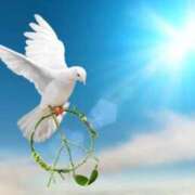 ヒメ日記 2025/08/06 21:31 投稿 橋本あいり ニューティアラ