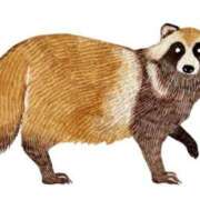 ヒメ日記 2026/03/22 13:02 投稿 橋本あいり ニューティアラ