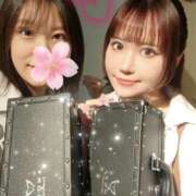 ヒメ日記 2025/03/19 20:07 投稿 ほし クリステル