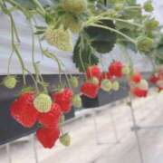 ヒメ日記 2025/03/25 17:45 投稿 ありす 横浜泡洗体デラックスエステ