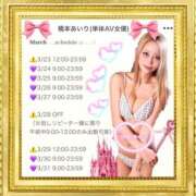 ヒメ日記 2025/02/28 18:15 投稿 橋本あいり(単体AV女優) プレイボーイ　アゲハ