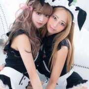 ヒメ日記 2025/03/23 12:07 投稿 橋本あいり(単体AV女優) プレイボーイ　アゲハ