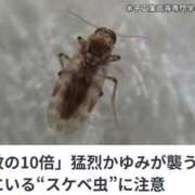 ヒメ日記 2026/07/13 20:03 投稿 橋本あいり(単体AV女優) プレイボーイ　アゲハ