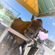 ヒメ日記 2025/05/10 22:37 投稿 星川きら ぽっちゃりレボリューション