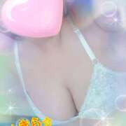 ヒメ日記 2025/05/27 05:02 投稿 星川きら ぽっちゃりレボリューション