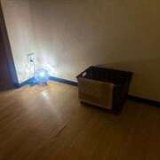 ヒメ日記 2025/04/10 23:05 投稿 かな【天使の愛嬌と美巨乳】 STELLA TOKYO－ステラトウキョウ－