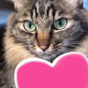 ヒメ日記 2025/03/30 11:29 投稿 くるみ 大人の遊園地 越谷店