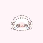 ヒメ日記 2026/03/07 12:39 投稿 りむ もも尻本店