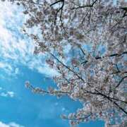 ヒメ日記 2025/04/07 13:30 投稿 もえる 五反田サンキュー