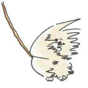 ヒメ日記 2025/06/14 23:03 投稿 もえる 五反田サンキュー