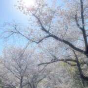 ヒメ日記 2025/04/07 18:49 投稿 ゆうり スパーク日本橋