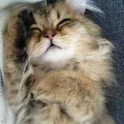 ヒメ日記 2025/02/03 10:31 投稿 星乃 愛音 東京貴楼館