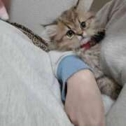 ヒメ日記 2025/02/07 05:11 投稿 星乃 愛音 東京貴楼館