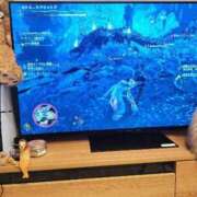 ヒメ日記 2025/03/10 03:21 投稿 星乃 愛音 東京貴楼館