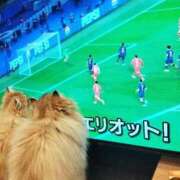 ヒメ日記 2025/03/12 13:02 投稿 星乃 愛音 東京貴楼館