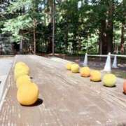 ヒメ日記 2025/06/20 23:13 投稿 星乃 愛音 東京貴楼館