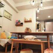 ヒメ日記 2025/07/03 06:13 投稿 星乃 愛音 東京貴楼館