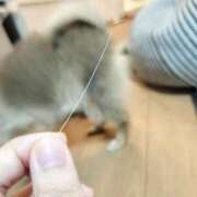 ヒメ日記 2025/07/17 20:53 投稿 星乃 愛音 東京貴楼館