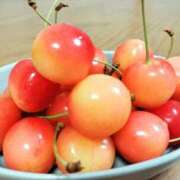 ヒメ日記 2025/07/18 06:53 投稿 星乃 愛音 東京貴楼館