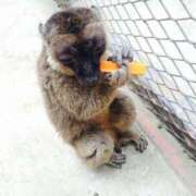 ヒメ日記 2025/07/25 11:53 投稿 星乃 愛音 東京貴楼館