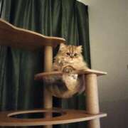 ヒメ日記 2025/06/06 08:21 投稿 星乃 愛音 横浜貴楼館