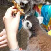 ヒメ日記 2025/06/10 09:02 投稿 星乃 愛音 横浜貴楼館