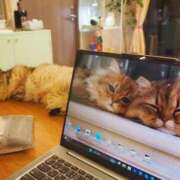 ヒメ日記 2025/06/11 06:51 投稿 星乃 愛音 横浜貴楼館